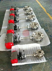 Flange Butterfly Valve