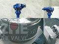 Welding Butterfly Valve 3