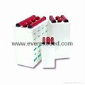 EverExceed Nickel Cadmium Range Battery