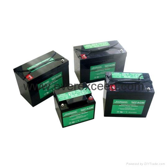 EverExceed Standard AGM Range VRLA Battery