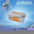 EverExceed Deep cycle gel range VRLA Battery