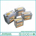 EverExceed Deep cycle gel range VRLA Battery