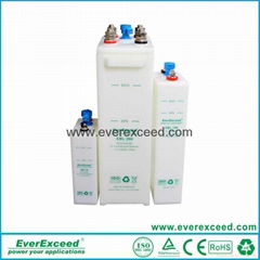 EverExceed Nickel Cadmium Range Battery