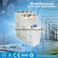 EverExceed Nickel Cadmium Range Battery