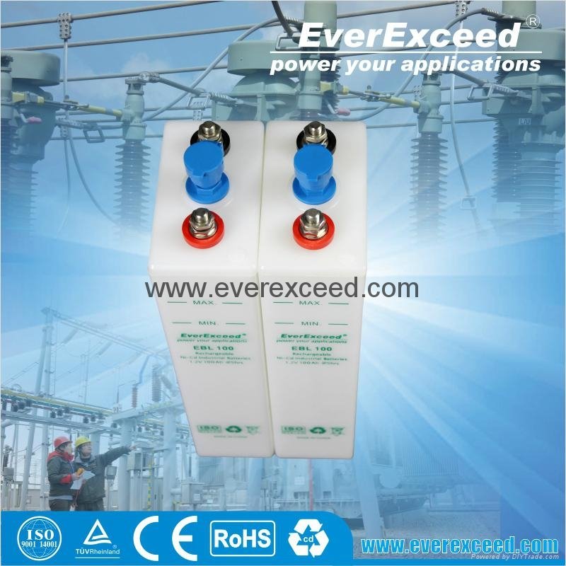 EverExceed Nickel Cadmium Range Battery 4