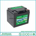 EverExceed High Rate Range VRLA Battery