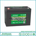 EverExceed High Rate Range VRLA Battery