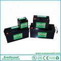 EverExceed High Rate Range VRLA Battery
