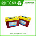 EverExceed Deep Cycle Max Range VRLA Battery