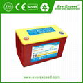 EverExceed Deep Cycle Max Range VRLA Battery