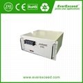 EverExceed Solar Lithium Battery