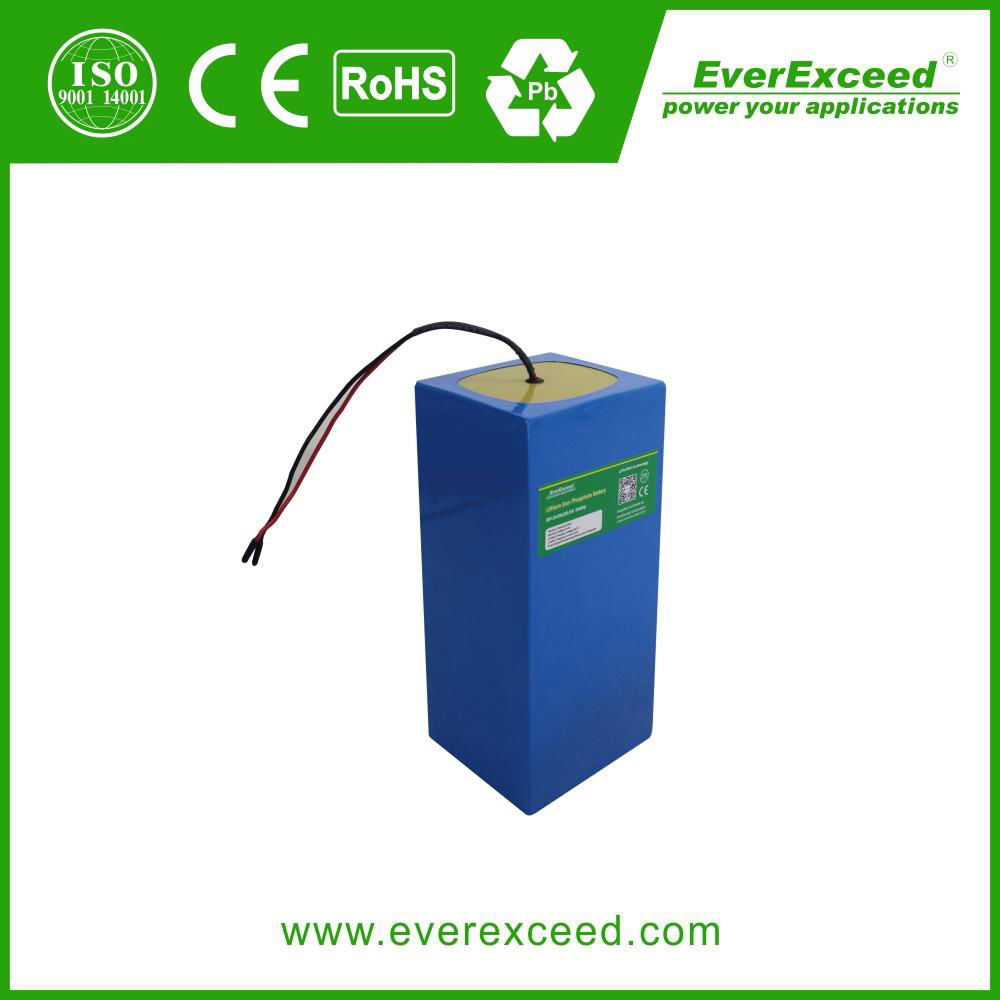 EverExceed Lithium Battery for Solar Street light 2