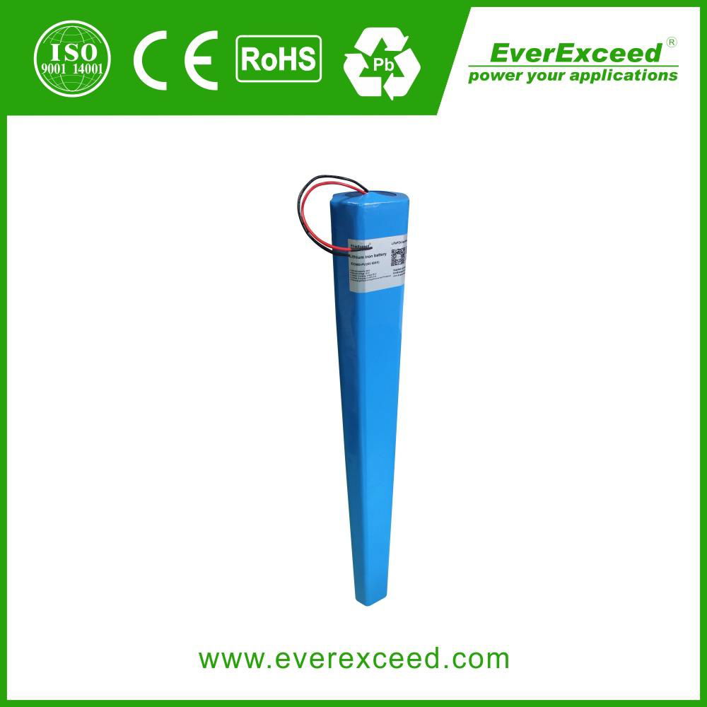 EverExceed Lithium Battery for Solar Street light 3