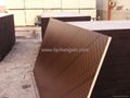 WBP brown film faced plywood