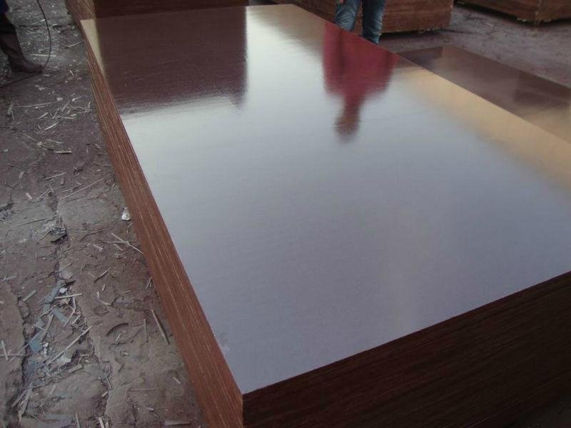 1250x2500x21 waterproof shuttering plywood  price 