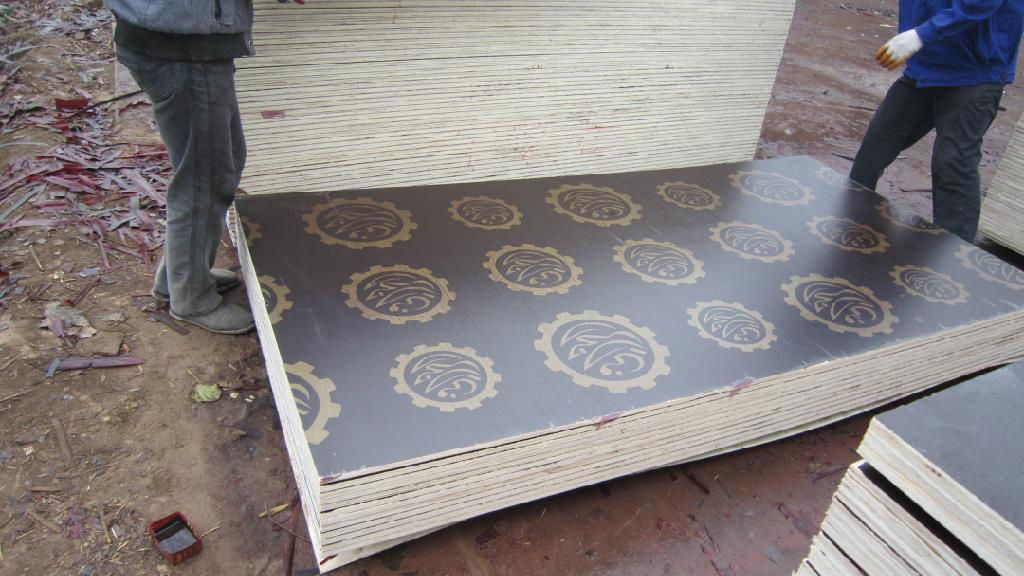 1250x2500x21 waterproof shuttering plywood  price  2