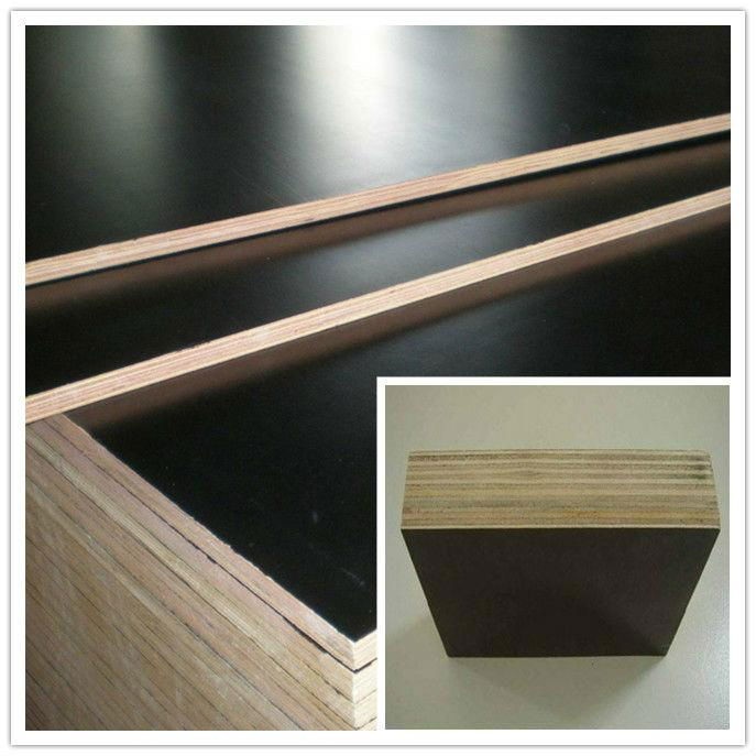 1250x2500x21 waterproof shuttering plywood  price  3