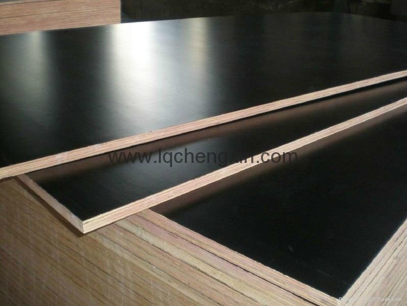 Hardwood film faced plywood/Waterproof plywood/Marine plywood for construction 2