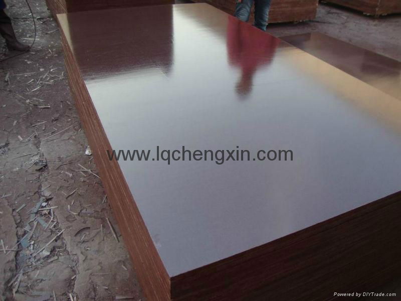 Chengxin  brown film faced plywood 