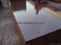 Chengxin  brown film faced plywood