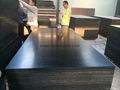 Chengxin  brown film faced plywood 