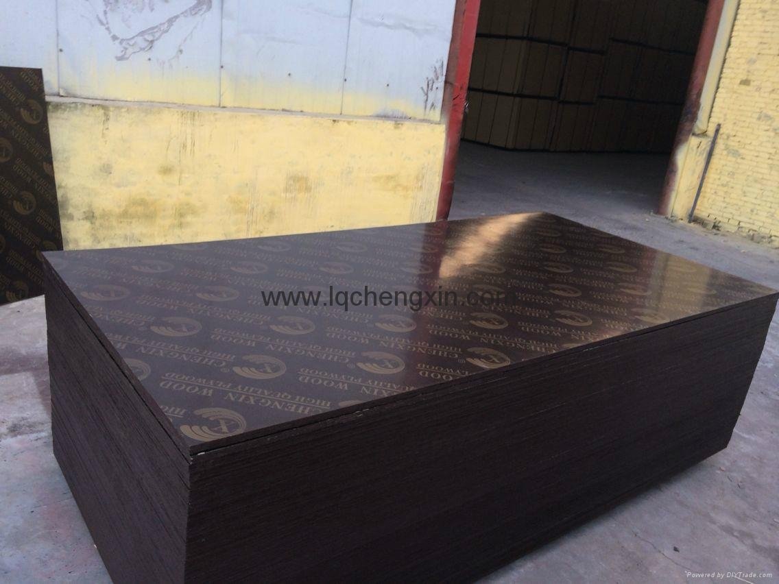 china manufacturer offer all kinds of 12mm brown film faced plywood size 4