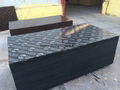 Chinese wbp glue brown or black film faced plywood for construction