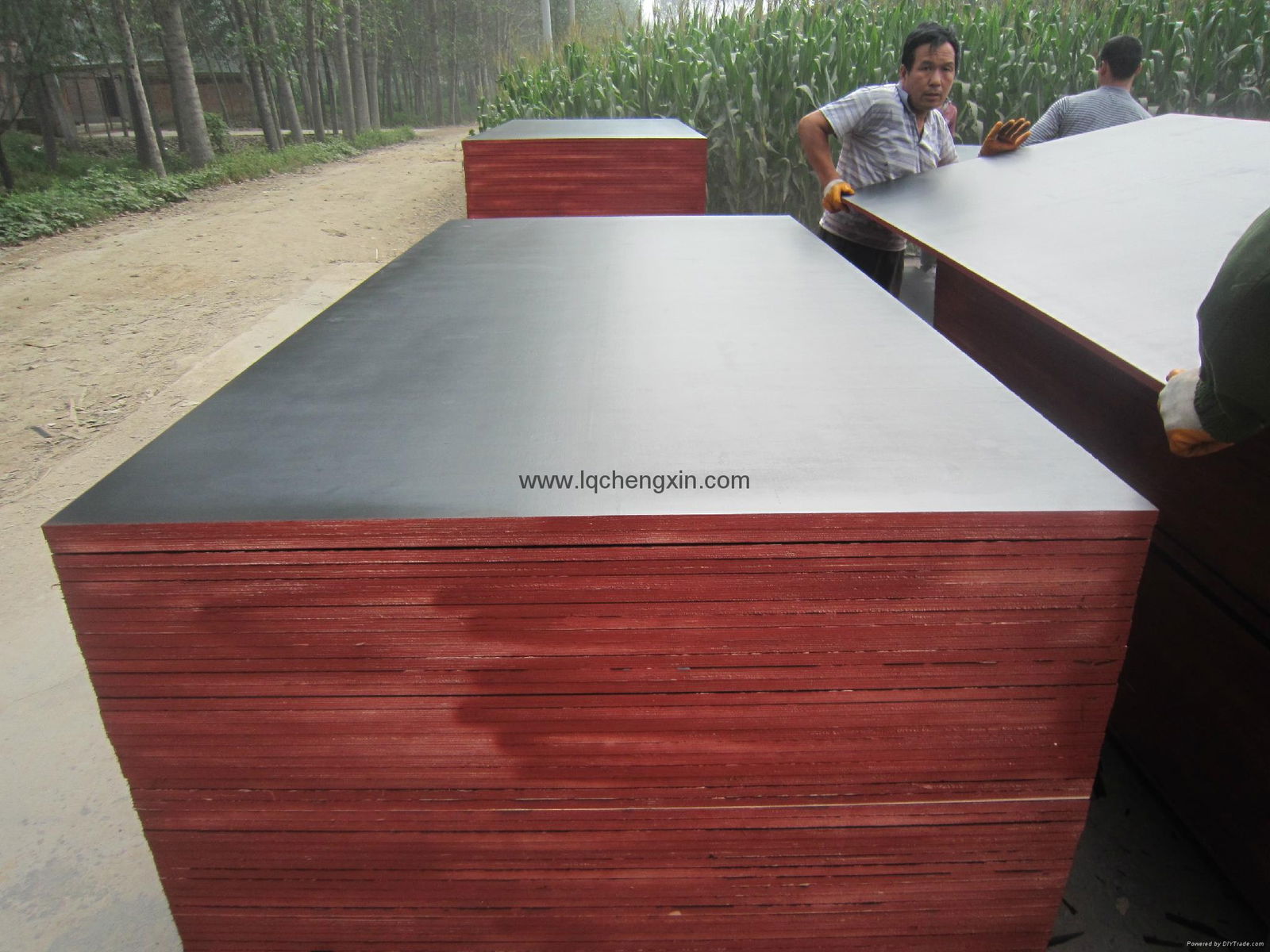 Chinese wbp glue brown or black film faced plywood for construction 4