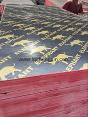 cheap MDF price