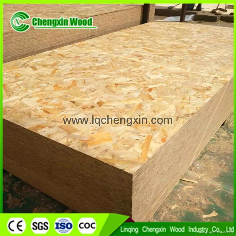 high quality MR glue OSB  Oriented Strandboard