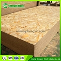 high quality MR glue OSB  Oriented Strandboard