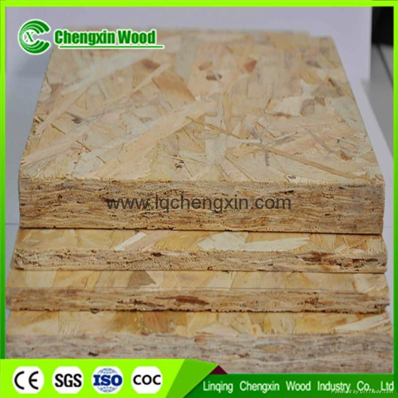 high quality MR glue OSB  Oriented Strandboard 2