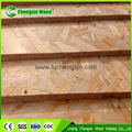 high quality MR glue OSB  Oriented Strandboard 3