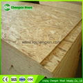 high quality MR glue OSB  Oriented Strandboard 4