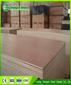 Bintangor plywood 18mm commercial plywood