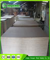 Bintangor plywood 18mm commercial plywood