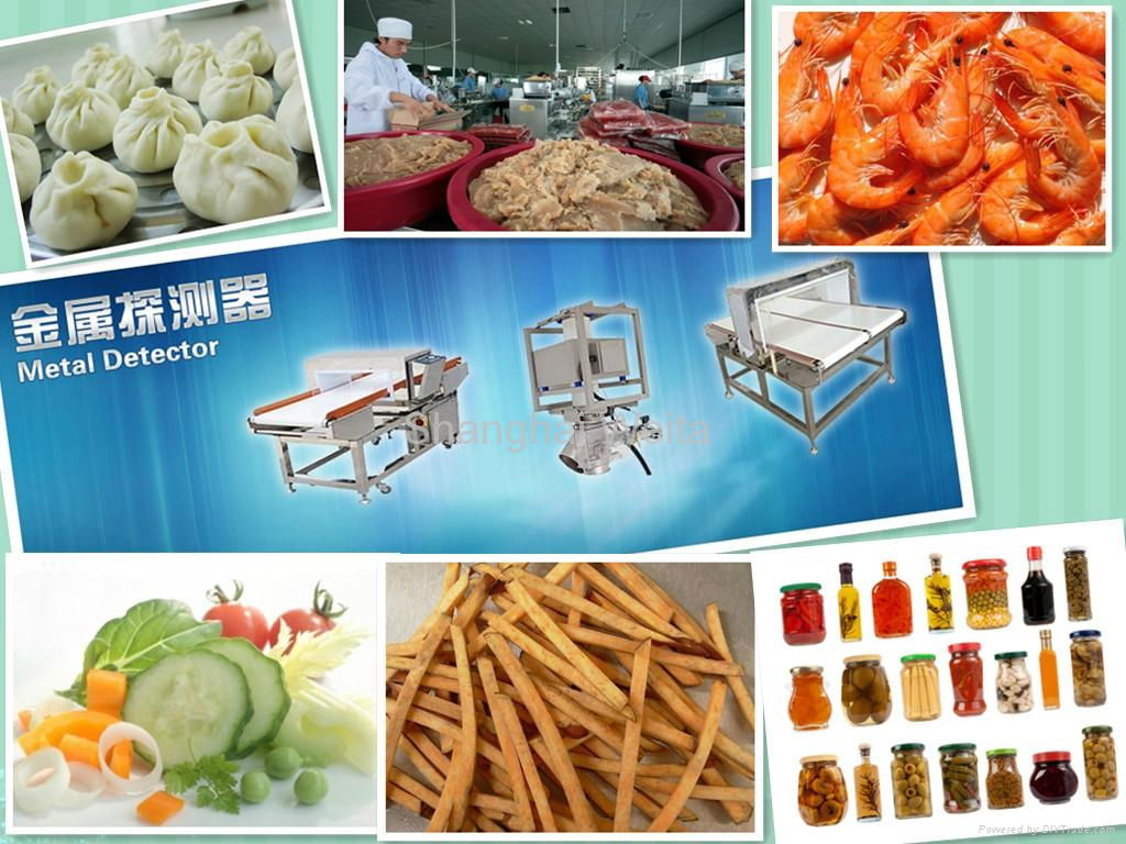 Various Food Processing Metal Detector 3