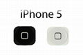 Iphone 5 home button replacement part for iphone 5 black&white