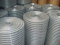 stainless steel welded wire mesh