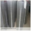 wire mesh,galvanized welded wire mesh panel 3