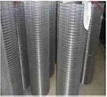 304 Stainless Steel Welded Wire Mesh