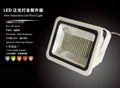 Dimmable LED Floodlight HNS FS200W