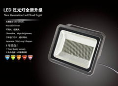 Dimmable LED Floodlight HNS FS300W 