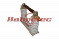 XRNP High Voltage Fuse 2