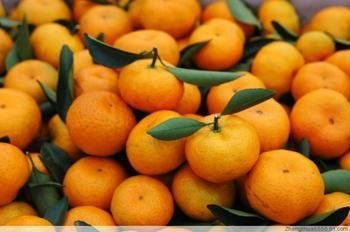 canned mandarin orange 2