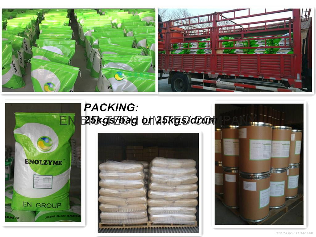 ENOLZYME Acid Protease 50 000U/g for Animal Feed