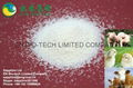 Feed grade heat stable phytase 10 000U/g 2