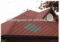 asphalt shingle 3