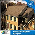 asphalt shingle 4