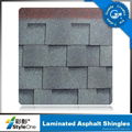 asphalt shingle 5